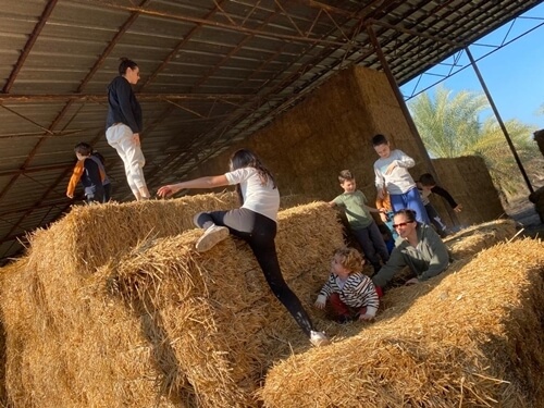 מרכבות הירדן